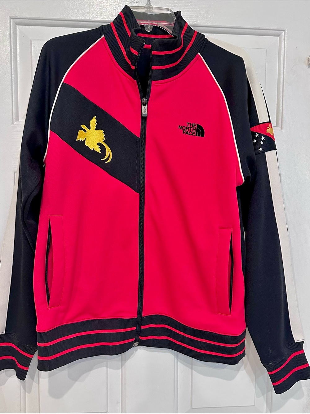 North Face A5 Series “Seven Summits” Carstensz Pyramid Track Jacket – M